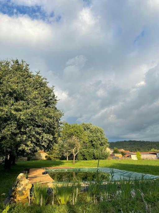 Grande Maison Type Perigourdine Montignac-Lascaux Esterno foto